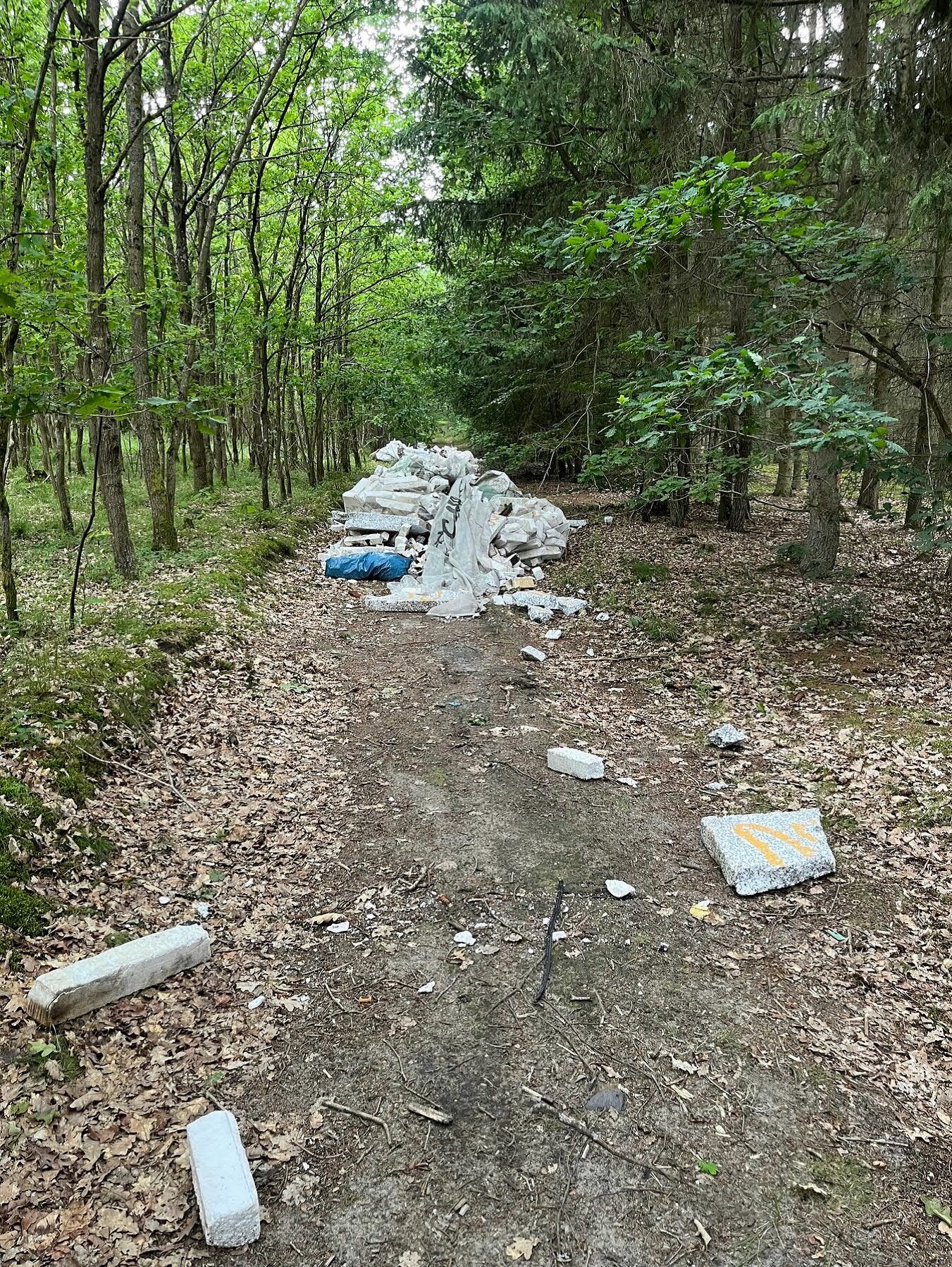 Kargow-MV-Unbekannte-kippen-Bauschutt-und-Reifen-auf-Waldweg