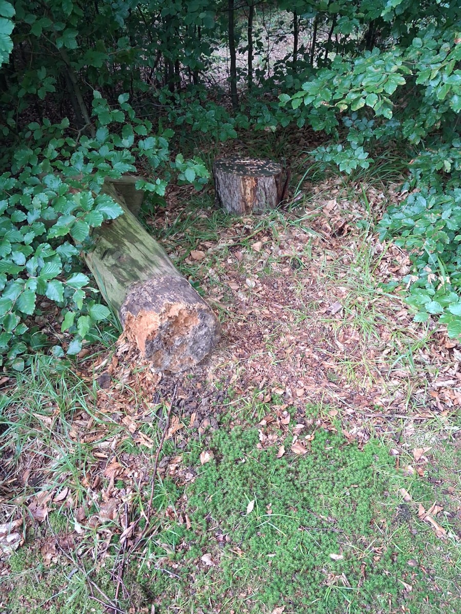 Hessisch-Oldendorf-Niedersachsen-Vandalen-verw-sten-Andachtsstelle-auf-Waldfriedhof