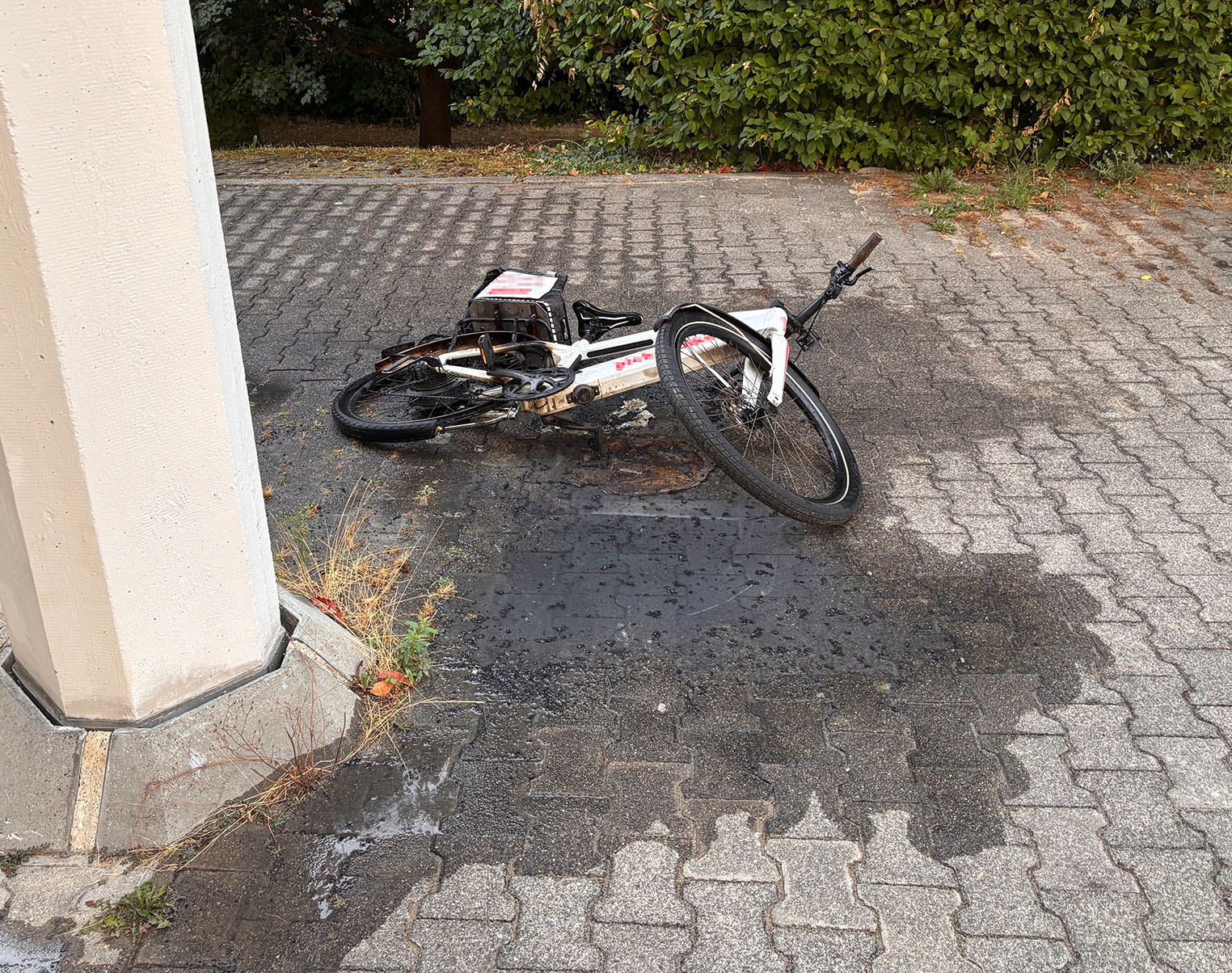 Therwil-BL-E-Bike-und-Pflanzenhecke-angez-ndet-zwei-Jugendliche-16-17-gefasst