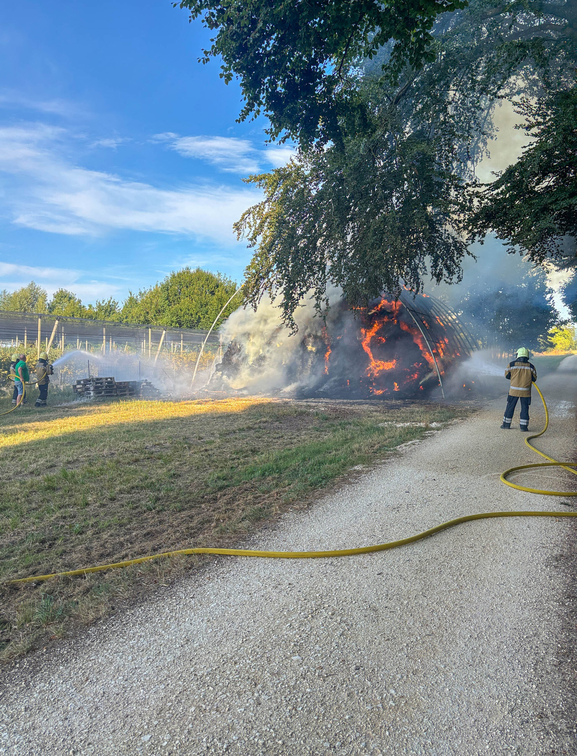 Bottmingen-BL-Bogenhalle-und-Strohballen-bei-Feuer-komplett-zerst-rt-Zeugenaufruf-