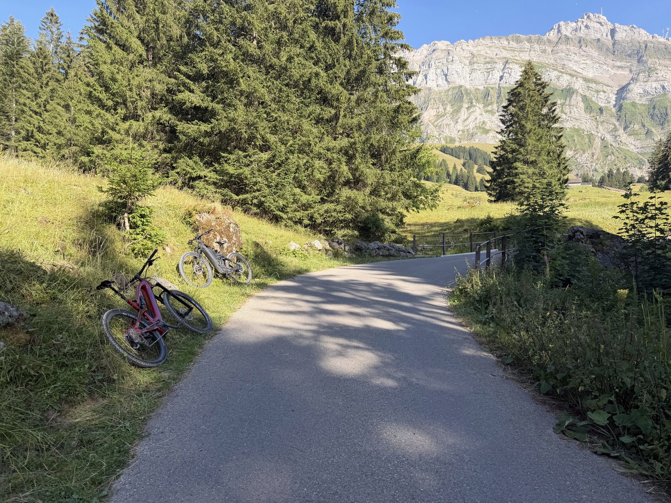 Urn-sch-AR-E-Bike-Fahrerin-st-rzt-in-B-schung-und-verletzt-sich-bei-Selbstunfall