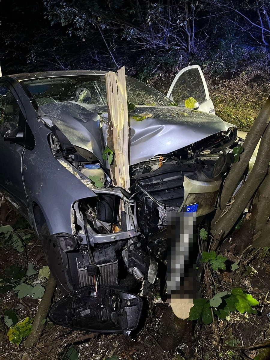 Hagen-Nordrhein-Westfalen-Wildschweinen-ausgewichen-Auto-kracht-gegen-Baum