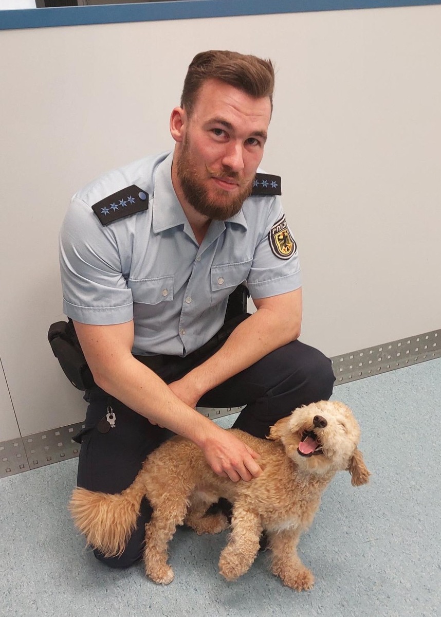 Hamburg-Happy-End-am-Bahnhof-Harburg-Bundespolizei-bringt-entlaufenen-Hund-zur-ck