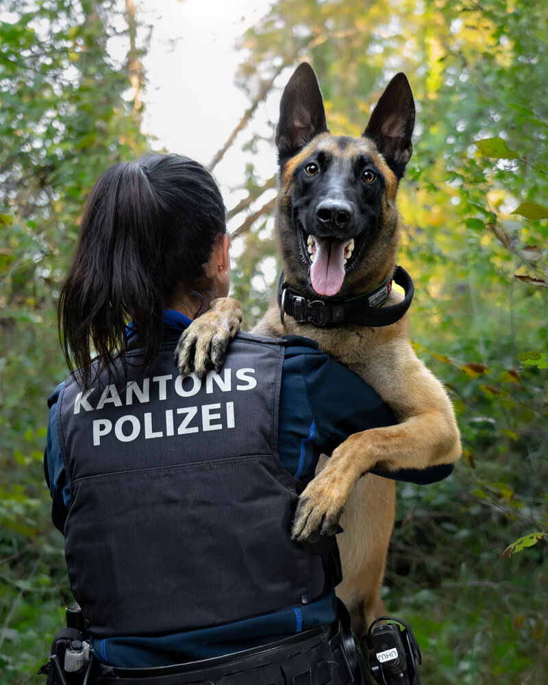 Vogelsang-AG-Bewohner-berrascht-Einbrecher-Diensthund-stellt-zwei-Algerier