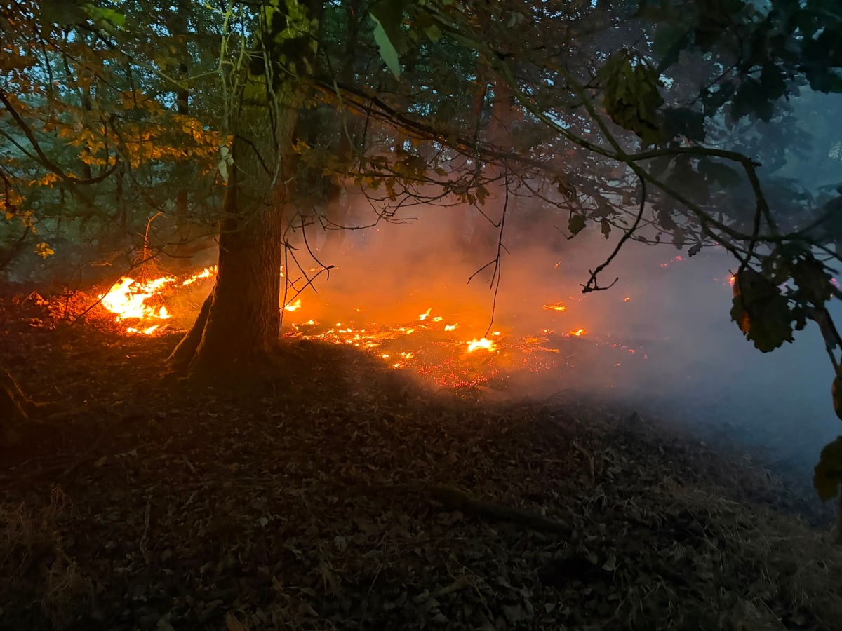 Plettenberg-Nordrhein-Westfalen-Waldbrand-auf-200-Quadratmetern-gel-scht
